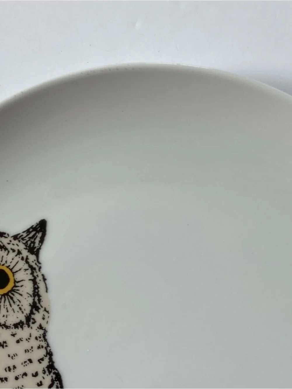 West Elm Owl Plate 8.5” Serving Art Drawing Display Bird Ceramic Birding Tree